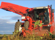 Potato Harvester 